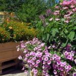 Using Cedar Mulch in Vegetable Gardens: Benefits, Tips, and Best Practices