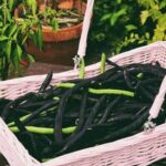 Japanese Vegetable Pancake Better Homes and Gardens Delicious Japanese vegetable pancake recipe from Better Homes and Gardens - a must-try dish!