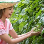 The best drip irrigation kit for vegetable gardens - ensuring efficient watering and healthier plants