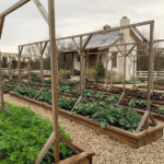 Get the best vegetable gardening apps with tips, tools, and guides for your perfect garden