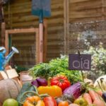 Safely use CA-C pressure treated wood in vegetable gardens for long-lasting and protected garden structures