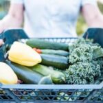 A variety of colorful vegetables growing in containers with the art of container gardening