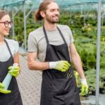 Indoor vegetable gardening systems: Efficient, space-saving solutions for growing fresh produce at home