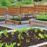 Lush vegetables flourishing in a beautifully enclosed screened-in garden for optimal growth and protection