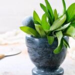 Marigolds in vegetable gardens: Understanding the benefits of planting these vibrant flowers