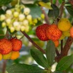 Vegetable gardening business plan with detailed strategies for success