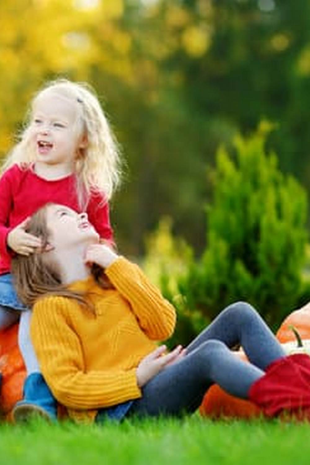 Stunning examples of beautiful vegetable container gardens showcasing creativity and abundance