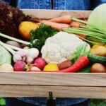 Top-rated pesticides for vegetable gardens to ensure healthy crops and pest control