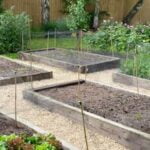 Raised Bed Vegetable Gardening Ideas Lush vegetable garden filled with raised beds, showcasing creative gardening ideas