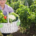 Benefits of using wood mulch in vegetable gardens – is wood mulch good for plant growth?