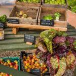 alt=Benefits of having bugs in vegetable gardens: Discover what bugs are good for your plants