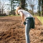 Assessing the safety of Bifenthrin for vegetable gardens: Key facts, research, and recommendations