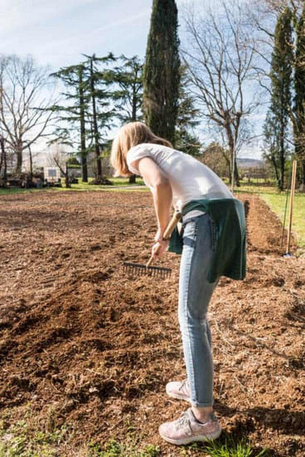 Assessing the safety of Bifenthrin for vegetable gardens: Key facts, research, and recommendations