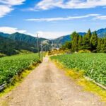 Better Homes and Gardens Vegetable Oil Pie Crust Delicious and Flaky BETTER HOMES AND GARDENS Vegetable Oil Pie Crust Recipe