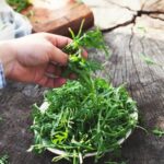 Home Depot Vegetable Gardens - Perfect for growing your own fresh and healthy produce!