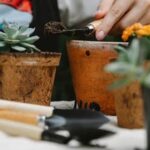 Ensuring Safety: Evaluating the Use of Weed Killer for Vegetable Gardens