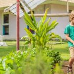 Vegetable gardens attracting rats: Understanding how to discourage rodent presence in your garden