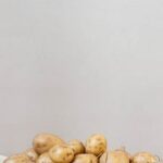 Potential harm: Evaluating the detrimental effects of grubs on vegetable gardens