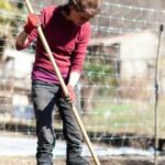 Step-by-step guide on how to get vegetable patches in Merge Gardens