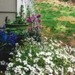 Step-by-step guide: using water distillation unit for vegetable gardens