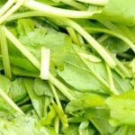 Fresh produce from Broward County gardens: eggplant, okra, and tomatoes