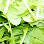 Using Composted Leaves & Grass as Fertilizer for Vegetable Gardens: A Comprehensive Guide