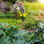 Protect your vegetable garden with Mosquito Joe's eco-friendly spray, safe for plants and people