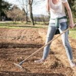 Step-by-step guide on how to prepare soil for gardening vegetables