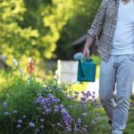 Do Squirrels Mess With Vegetable Gardens Squirrel damage to vegetable gardens: prevention tips and natural deterrents