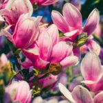 Enhance soil with 'Are Dead Leaves Good for Vegetable Gardens' to promote healthy plant growth and natural fertilization