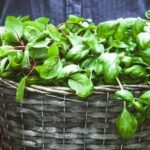 Can You Use Green Treated Lumber for Vegetable Gardens Green Treated Lumber for Vegetable Gardens: Considered Safe if Sealed Properly