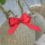 How Long Does Sevin Stay in the Soil in Vegetable Gardening: A Complete Guide