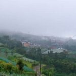 Safe Liquid Fence application on vegetable gardens for pest control