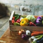 Groundhog roaming in garden searching for food during early morning or evening hours