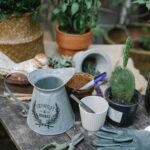 What Is the Best Soil for Container Vegetable Gardening Best soil for container vegetable gardening: nutrient-rich potting mix with adequate drainage