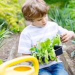 Vermiculite Benefits for Vegetable Gardens: Stronger Roots, Moisture Retention, and Improved Soil Aeration