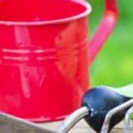 What the Best and Cheapest Gardens Fertilizer for Vegetable Top Choice Organic Vegetable Fertilizer