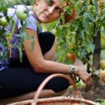 Benefits of using charcoal in vegetable gardens for improved soil drainage and nutrient retention