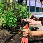 What Is a Raised Bed for Vegetable Gardening Image of a raised bed for vegetable gardening, providing ideal soil drainage and easy access for maintenance