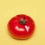 Malabar Spinach: Ideal Addition to Maryland Vegetable Gardens for a Safe and Bountiful Harvest