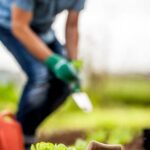 Safe, Durable Galvanized Steel with Zinc Finish for Vegetable Gardens