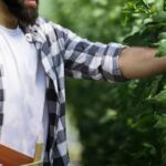 What Soil Do You Use in Vegetable Container Gardening Optimal soil mix for vegetable container gardening: organic potting mix with added compost and perlite