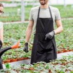 Preventing possum damage: How to protect vegetable gardens from possums