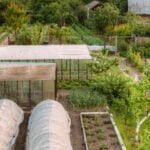 Triple Mix: Ideal Soil Blend for Growing Bountiful Vegetable Gardens