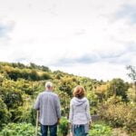 Tip: Use fence netting to keep cats out of vegetable gardens - HOW DO YOU KEEP CATS OUT OF VEGETABLE GARDENS