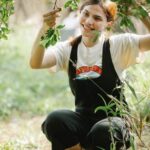 What Are the Types of Vegetable Gardening what are the types of vegetable gardening