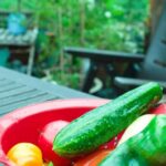 Companion planting: Marigolds, lavender, and nasturtiums are good flowers to grow in vegetable gardens