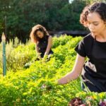 How many different types of vegetable gardens are there: raised bed, container, and vertical gardening