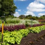 Brown treated wood safe for vegetables: A sustainable option for garden projects