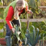 Optimal sunlight for vegetable gardens: crucial for growth, at least 6-8 hours daily